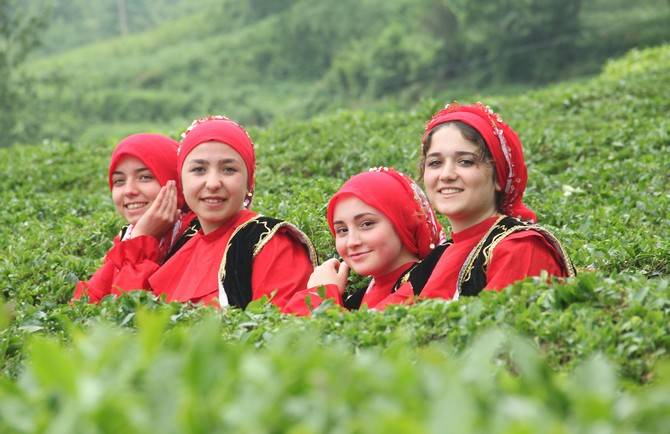 Giresun’da kemençe ve horon eşliğinde çay hasat şenliği yapıldı 6