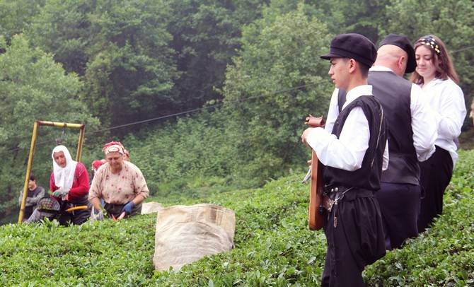 Giresun’da kemençe ve horon eşliğinde çay hasat şenliği yapıldı 8