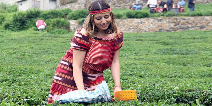 Giresun’da kemençe ve horon eşliğinde çay hasat şenliği yapıldı