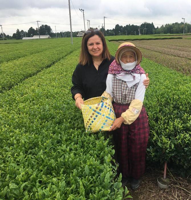 RTEÜ Öğretim Üyesi Yazıcı, Çay İçin Japonya’ya Teknik Ziyarette Bulundu 3