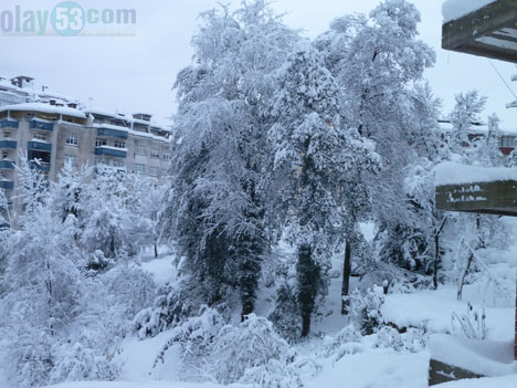 Rize'den Kar Görüntüleri 6