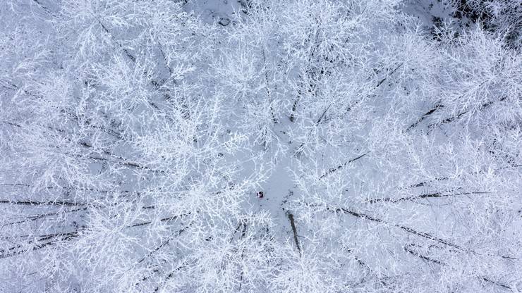 Rize'nin yüksek kesimleri kar yağışının ardından farklı bir güzelliğe büründü 10