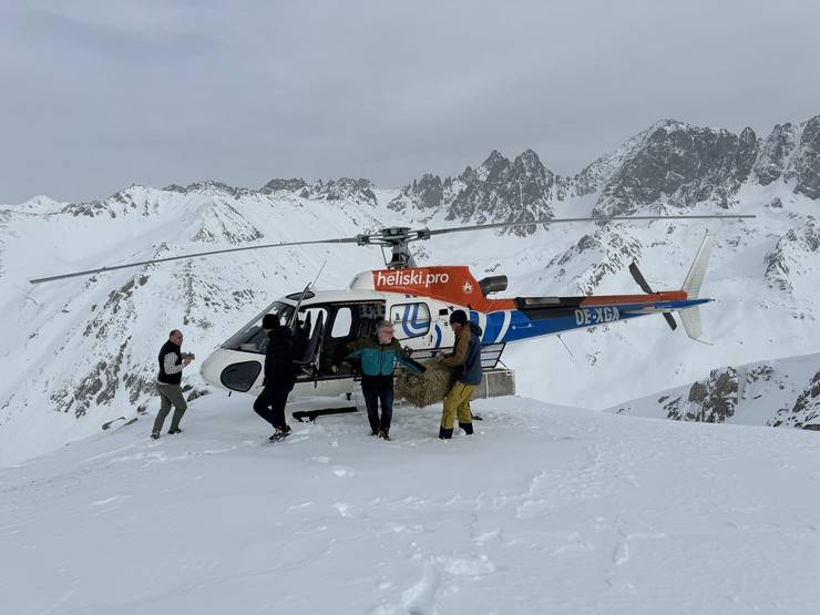 Çengel boynuzlu dağ keçileri için Kaçkarlar'a helikopterle yem taşındı 7