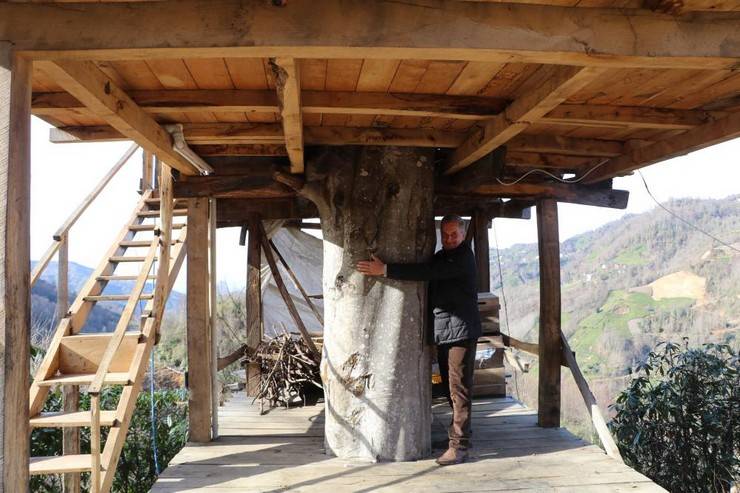 Rizeli vatandaş 150 yıllık ağacın gövdesine 2+1 ev yaptı 3