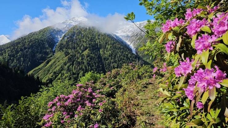 Kaçkar Dağları'nda iki mevsim bir arada yaşanıyor 4