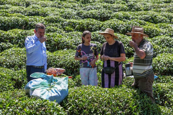 CHP Genel Başkanı Özgür Özel, Rize'de çay hasadı yaptı 11