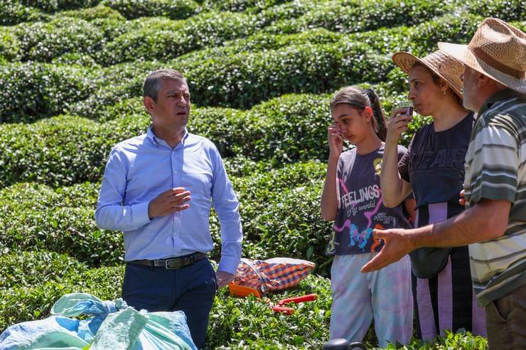 CHP Genel Başkanı Özgür Özel, Rize'de çay hasadı yaptı 14