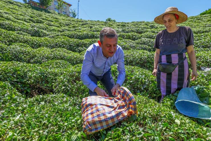 CHP Genel Başkanı Özgür Özel, Rize'de çay hasadı yaptı 24