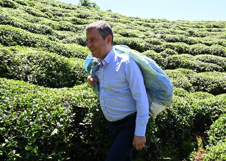 CHP Genel Başkanı Özgür Özel, Rize'de çay hasadı yaptı 28