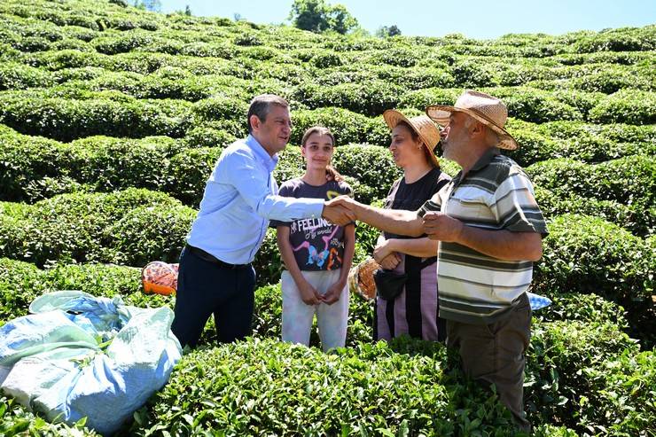 CHP Genel Başkanı Özgür Özel, Rize'de çay hasadı yaptı 29