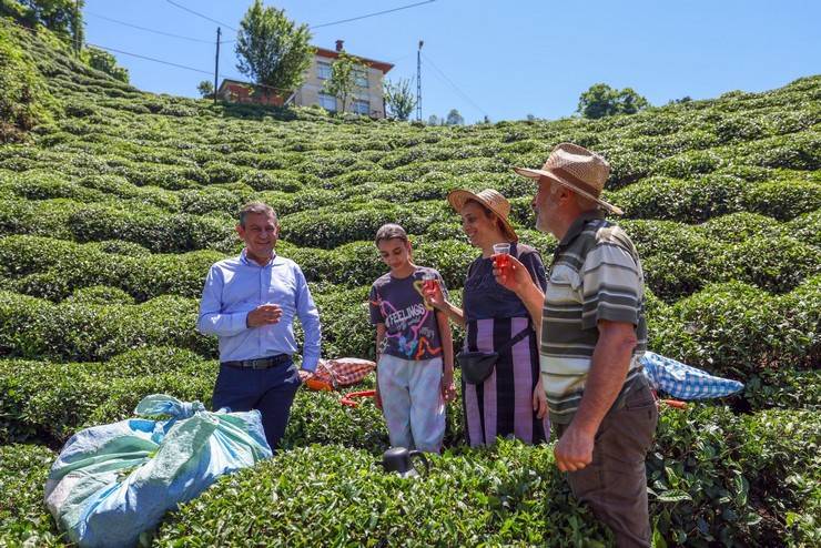 CHP Genel Başkanı Özgür Özel, Rize'de çay hasadı yaptı 5