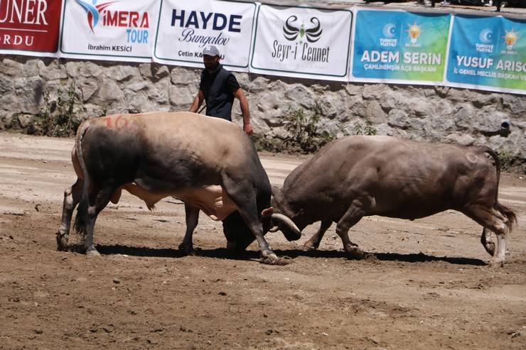 Rize'de "28. Çamlıhemşin Ayder Kültür, Sanat ve Doğa Festivali" sona erdi 13