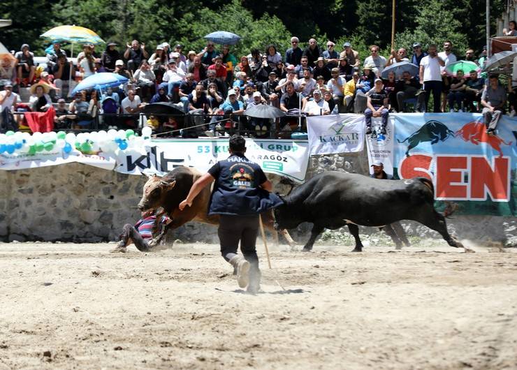 Rize'de "28. Çamlıhemşin Ayder Kültür, Sanat ve Doğa Festivali" sona erdi 4