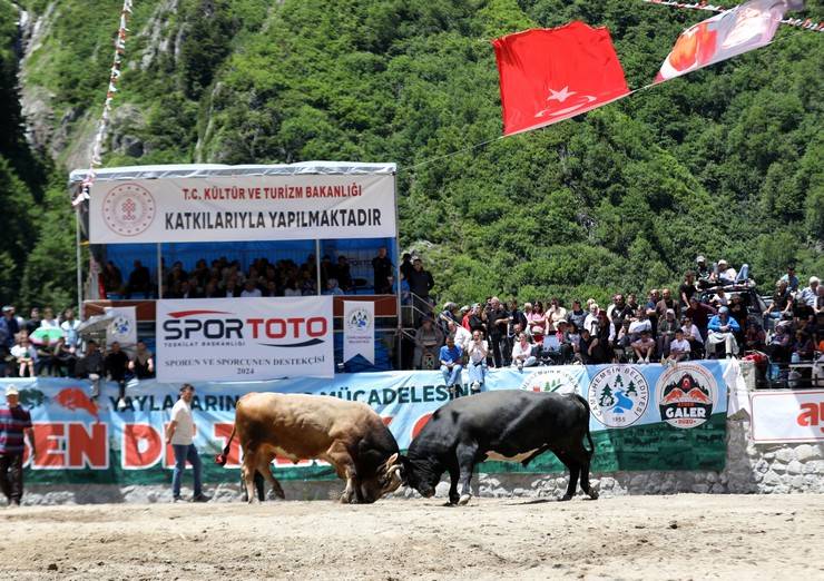 Rize'de "28. Çamlıhemşin Ayder Kültür, Sanat ve Doğa Festivali" sona erdi 5