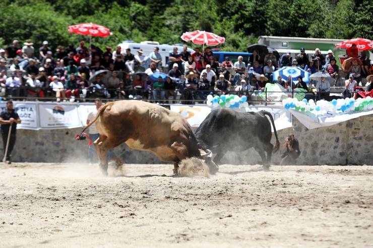 Rize'de "28. Çamlıhemşin Ayder Kültür, Sanat ve Doğa Festivali" sona erdi 6