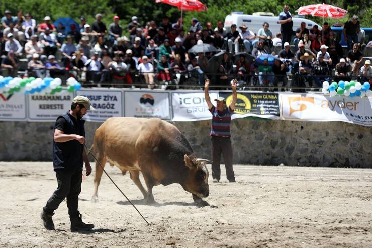 Rize'de "28. Çamlıhemşin Ayder Kültür, Sanat ve Doğa Festivali" sona erdi 7