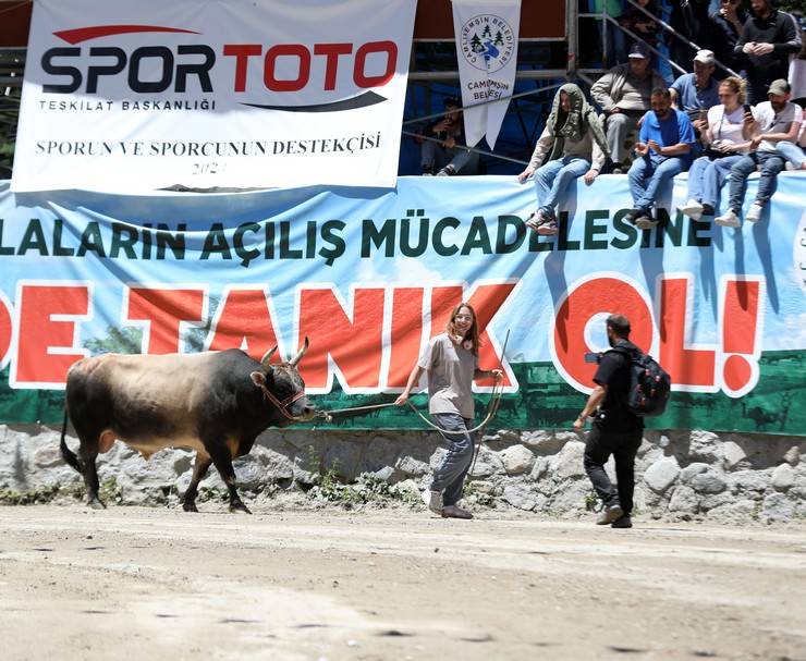 Rize'de "28. Çamlıhemşin Ayder Kültür, Sanat ve Doğa Festivali" sona erdi 8