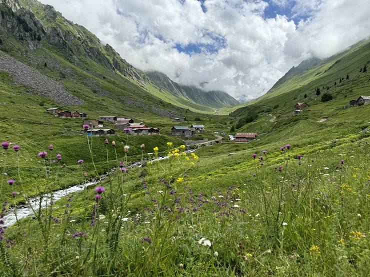 Kaçkar'daki yaylanın kadınları yarım asırdır hayvancılık yapıyor 11