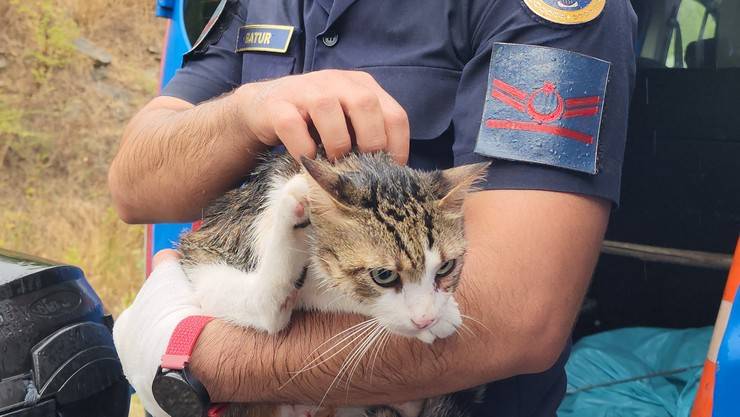 Yolcu otobüsü, tomruk yüklü kamyonla çarpıştı: 2 ölü, 23 yaralı 5