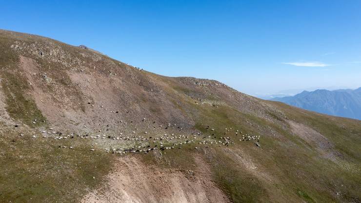 Karadeniz'in bulutların üzerindeki yerleşim yeri: Tahpur Yaylası 10