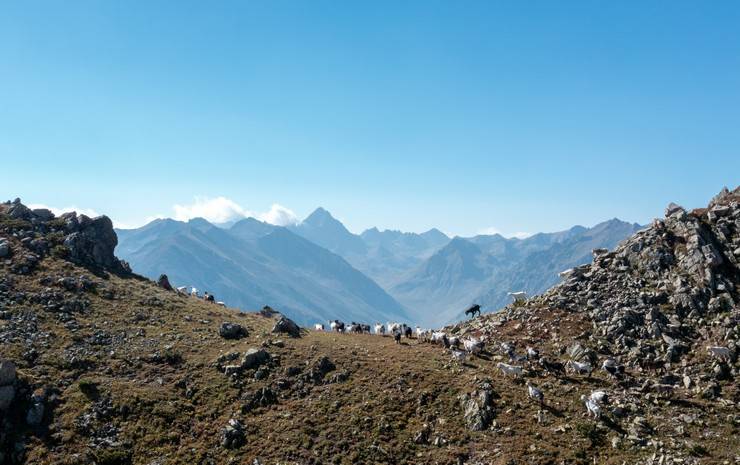 Karadeniz'in bulutların üzerindeki yerleşim yeri: Tahpur Yaylası 12