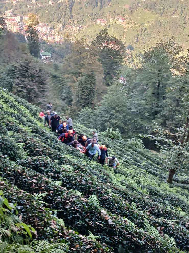 Rize'de araç çay bahçesine yuvarlandı 1 ölü, 1 yaralı 6