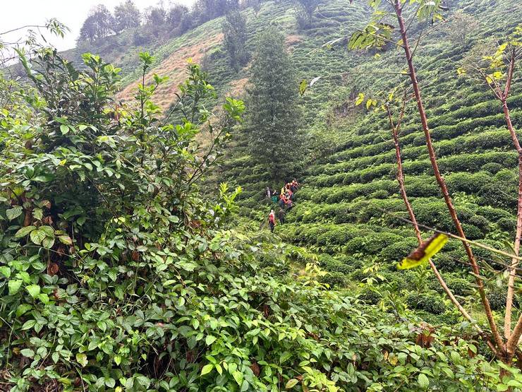 Rize’de dereye yuvarlanan aracın sürücüsü yaralandı 9