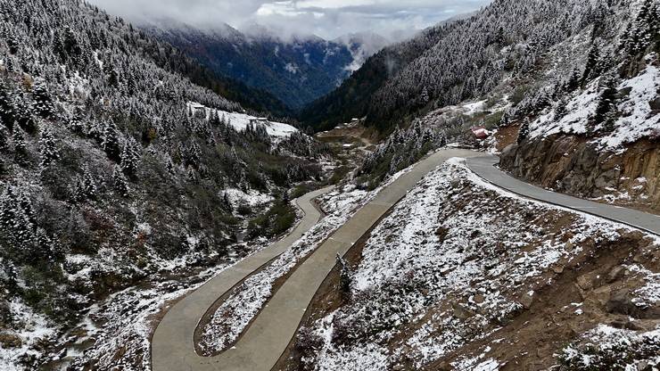 Rize'de yaylacıların köye dönüş yolculuğu devam ediyor 11