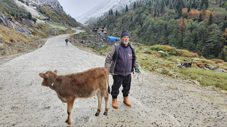 Rize'de yaylacıların köye dönüş yolculuğu devam ediyor 3