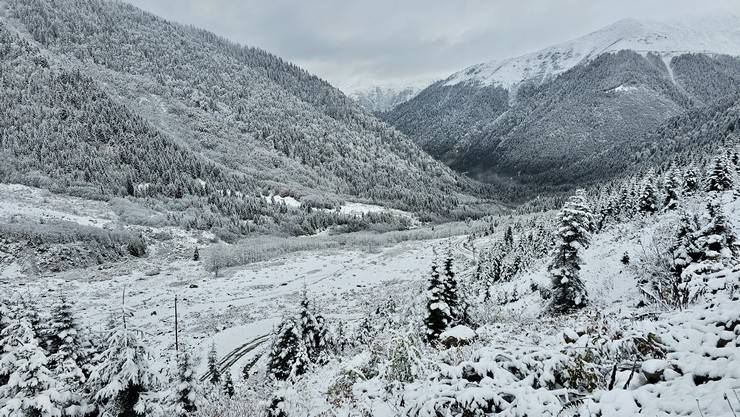 Rize'de yaylacıların köye dönüş yolculuğu devam ediyor 5