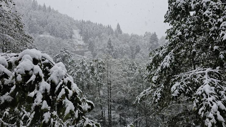 Rize'nin yüksek kesimlerinde kar etkili oldu 11