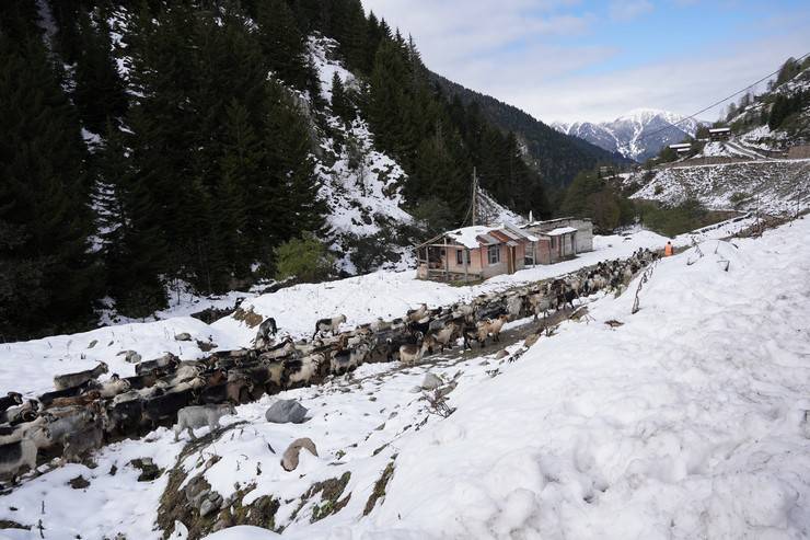 Rize’nin karlı yaylalarından kartpostallık görüntüler 5