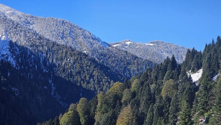 Rize'nin yüksek kesimlerine kar yağdı 4