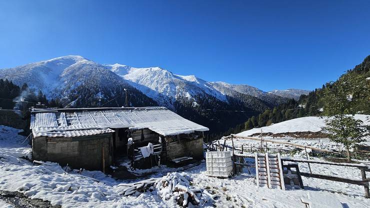 Rize'nin yüksek kesimlerine kar yağdı 5