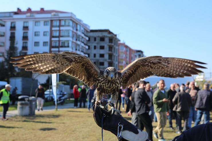 Rize'de atmaca güzellik ve beceri yarışması düzenlendi 14