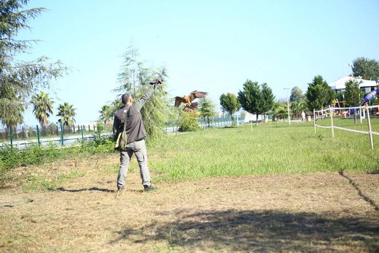 Rize'de atmaca güzellik ve beceri yarışması düzenlendi 22