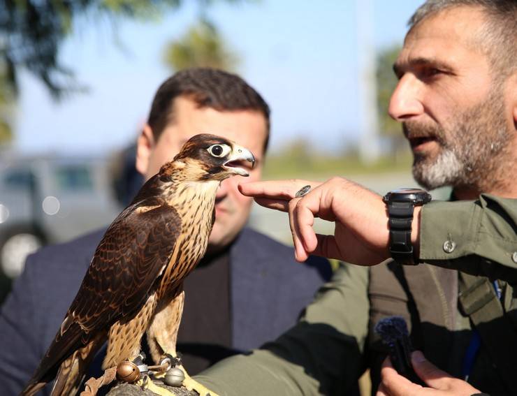 Rize'de atmaca güzellik ve beceri yarışması düzenlendi 8