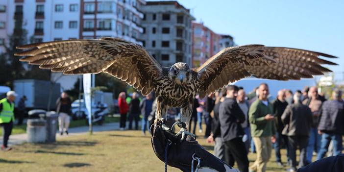 Rize'de atmaca güzellik ve beceri yarışması düzenlendi