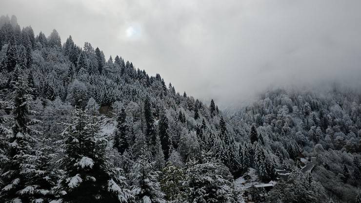 Rize'nin yüksek kesimlerine kar yağdı 3