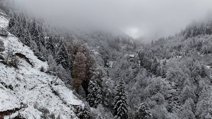 Rize'nin yüksek kesimlerine kar yağdı 5