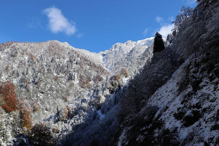 Ayder'de sonbahar kış ile birleşti, manzara mest etti 11