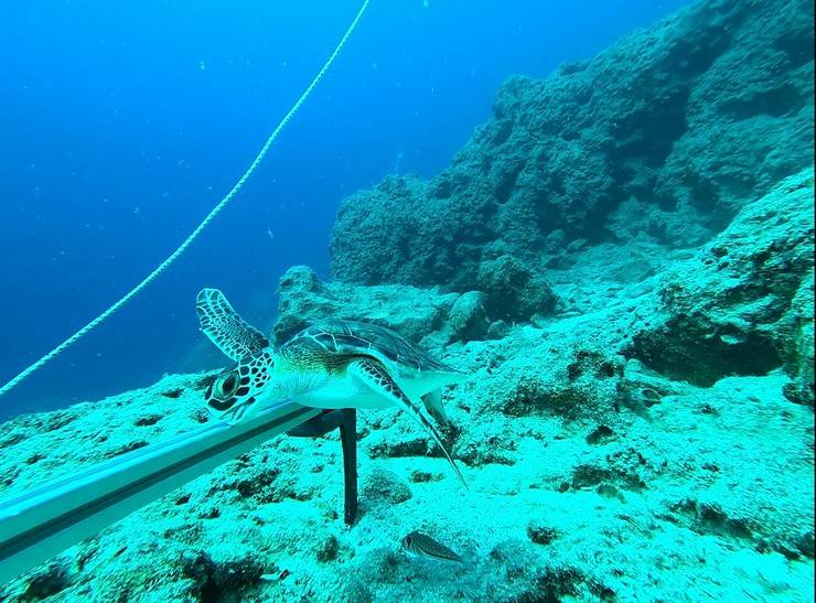 Karadeniz’de 'mikroplastik' tehlikesinde ‘nehir’ etkisi 2