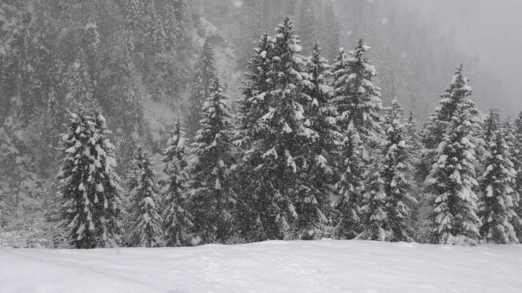 Ayder Yaylası'nda günlerdir devam eden kar yağışı hem ziyaretçileri hem işletmecileri mutlu ediyor 4