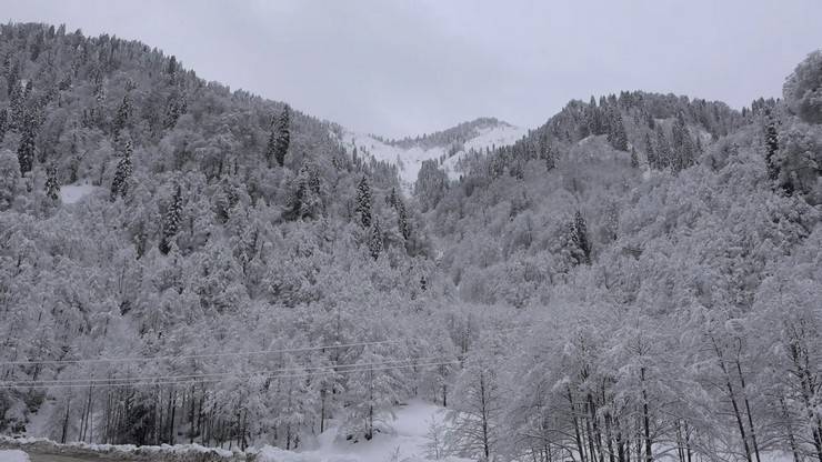 Ayder Yaylası’ndan kar manzaraları 11