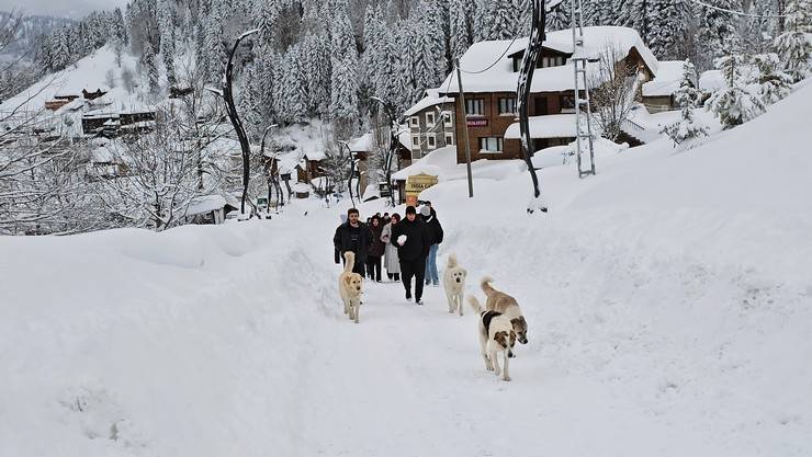 Rize'de kar ve soğuk hava etkili oluyor 5