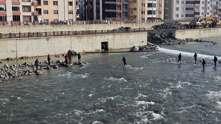 Artvin'de fırtına somon kafesini parçaladı, vatandaşlar dereye akın etti 3