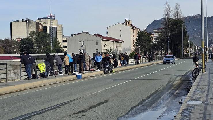 Artvin'de fırtına somon kafesini parçaladı, vatandaşlar dereye akın etti 6