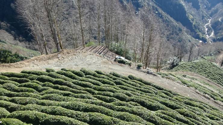 Rize'de yol yapıldı, teleferikle tehlikeli yolculuk son buldu 7