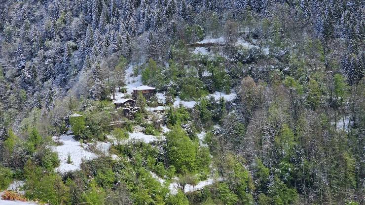Rize'nin yüksek kesimleri nisanda yağan karla beyaza büründü 16