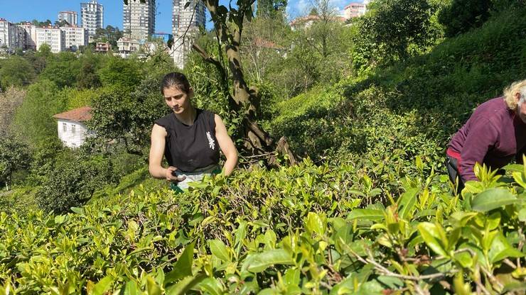 Çay bahçesinden Dünya Şampiyonası'na 10